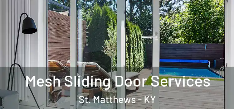 Mesh Sliding Door Services St. Matthews - KY